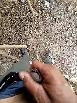 breejs online show from 10.23.25