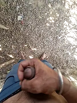 breejs online show from 11.23.25