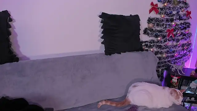 pamela doll3 online show from 12.21.25