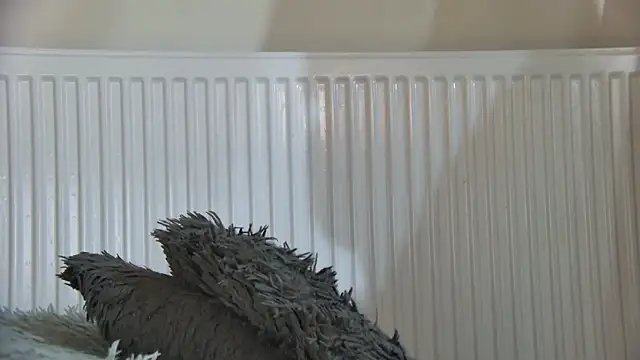 curvyana69 online show from 01.05.26