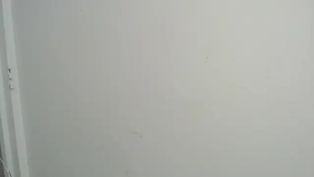 amy le01 online show from 02.18.25