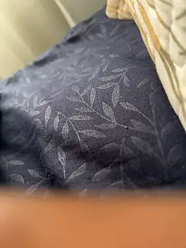 ROBOSTALLION online show from 04.04.26