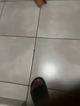 ROBOSTALLION online show from 04.07.26