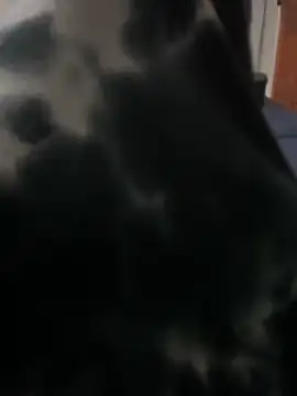 ROBOSTALLION online show from 04.13.26