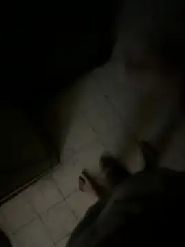 Dedoow online show from 04.06.26