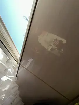 TigerOne19 online show from 03.09.26