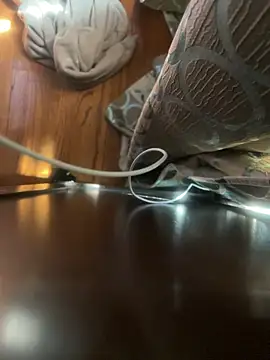 dingoding online show from 04.16.26