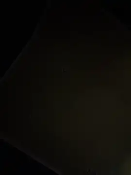 dingoding online show from 04.16.26