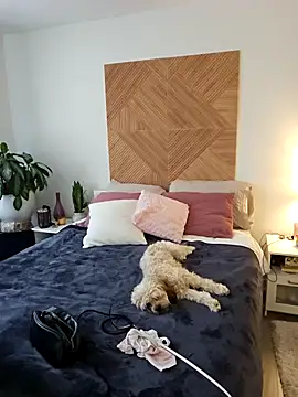 Snapshot of Ellie-L-Elizabeth chatting on 02.26.26 Ellie-L-Elizabeth online show from 02.26.26