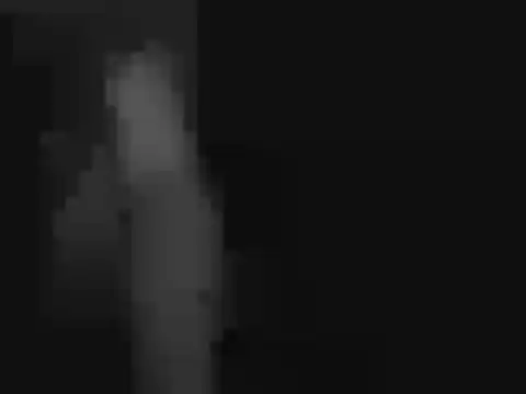 Snapshot of peaches_playz chatting on 11.25.25 peaches playz online show from 11.25.25