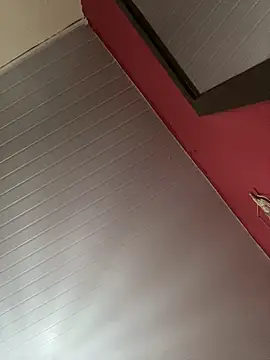 pimenta gaby online show from 03.12.25