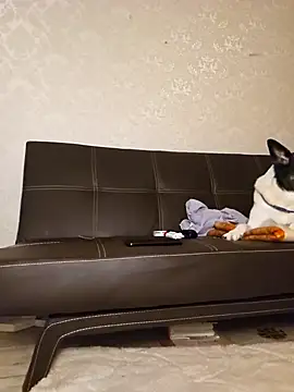 Marushka online show from 12.21.24