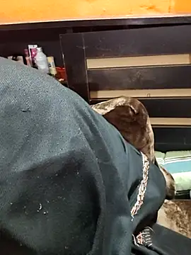 Diya 143 online show from 01.12.26