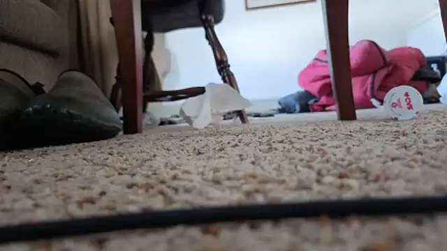 CDforU online show from 02.05.26