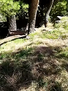 K-27 online show from 10.04.25