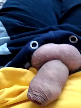 bms125 online show from 01.12.26