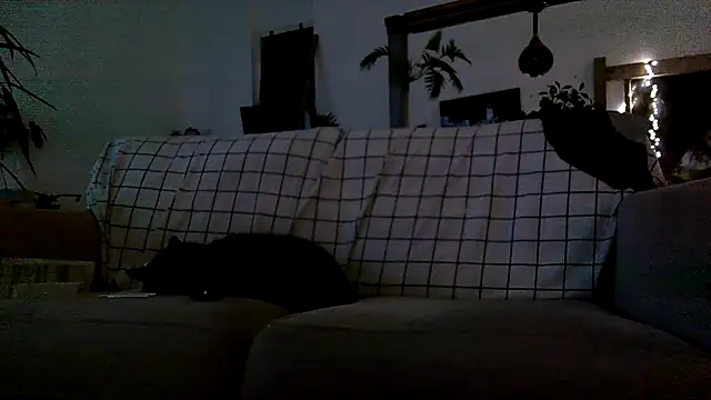 iamsex6969 online show from 04.15.26