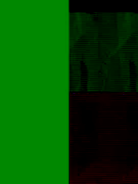 Snapshot of GeilerSchweizer chatting on 11.25.25 GeilerSchweizer online show from 11.25.25