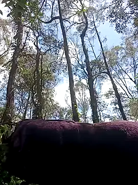 strollnrg069 online show from 12.05.24