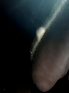 strollnrg069 online show from 02.12.25