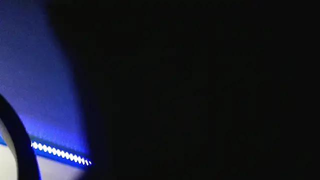 Snapshot of _prevision chatting on 12.25.24 prevision online show from 12.25.24