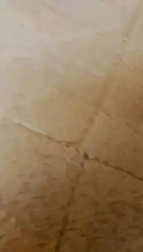 Snapshot of LULE37587001 chatting on 02.20.26 LULE37587001 online show from 02.20.26