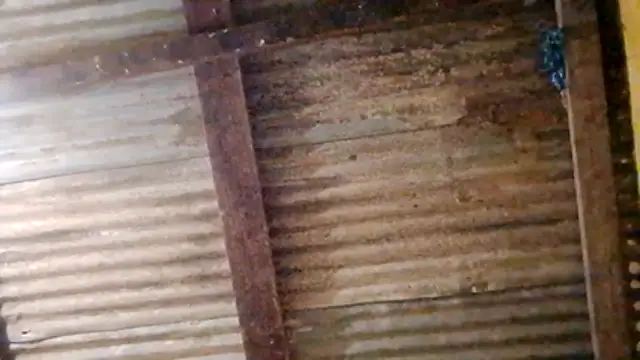 Snapshot of LULE37587001 chatting on 02.20.26 LULE37587001 online show from 02.20.26