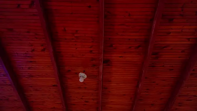 annie barozzi online show from 10.18.25