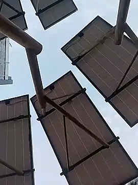 sagrado 1989 online show from 01.17.26