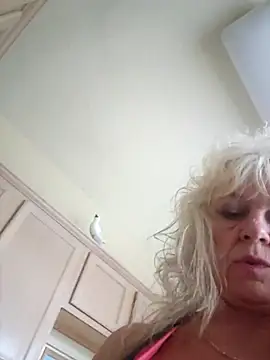 IMS BHAVEN online show from 10.19.25