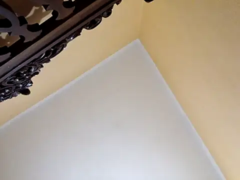 Snapshot of White_rabbit_ chatting on 10.29.25 White rabbit online show from 10.29.25