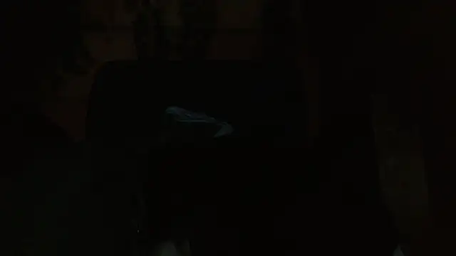 belindathompson online show from 11.07.25