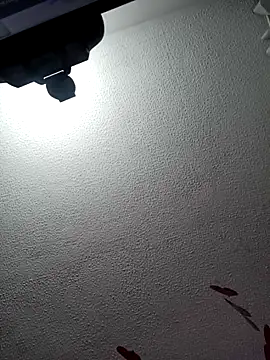 Deina bunny online show from 02.17.25