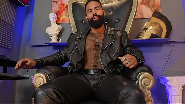 Snapshot of BeardAndrew chatting on 02.06.25 BeardAndrew online show from 02.06.25