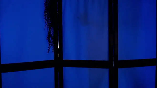 Snapshot of Wildorchid_ chatting on 12.02.24 Wildorchid online show from 12.02.24