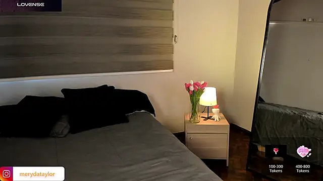 Snapshot of MERIDA_TAYLOR chatting on 02.28.26 MERIDA TAYLOR online show from 02.28.26