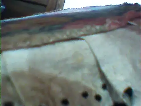 messi syssy online show from 02.25.25