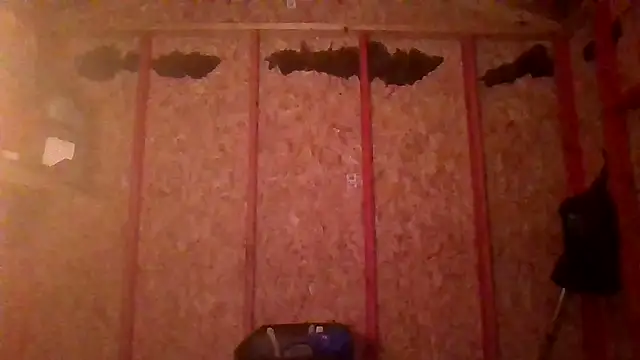 prettyboytatted69 online show from 04.09.26