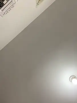 Cat2525 online show from 03.20.26