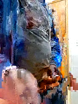 Snapshot of Jeffikuis chatting on 09.23.25 Jeffikuis online show from 09.23.25