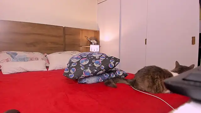 emily adams01 online show from 02.27.25