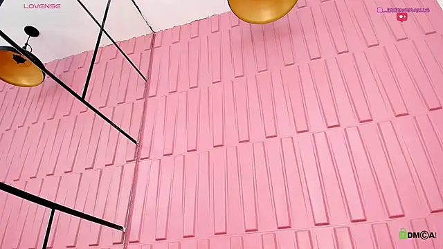 Briana Wells  online show from 12.20.24