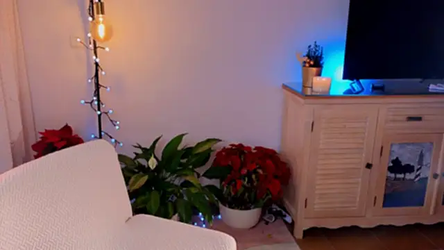 anabelcurvy online show from 12.08.24