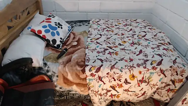 sexyjustin202 online show from 12.19.25