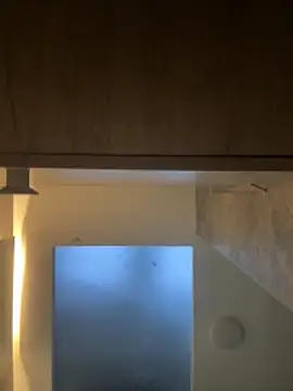 CeliWoods online show from 11.30.25