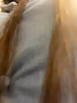 Snapshot of Reggie-Liam chatting on 01.09.26 Reggie-Liam online show from 01.09.26