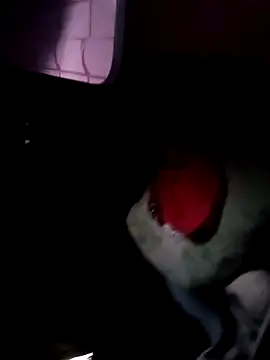 121fff online show from 10.09.25