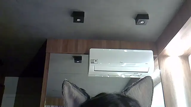 Skinny-Kitten online show from 09.30.25