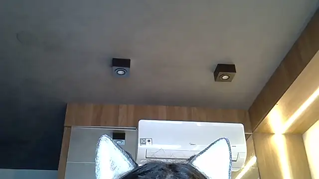 Skinny-Kitten online show from 11.01.25