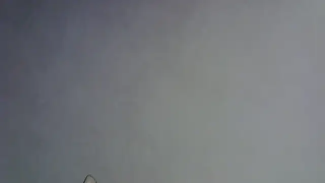 Skinny-Kitten online show from 01.16.26